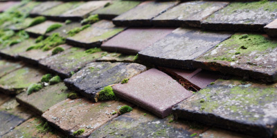 Oswestry roof repair costs